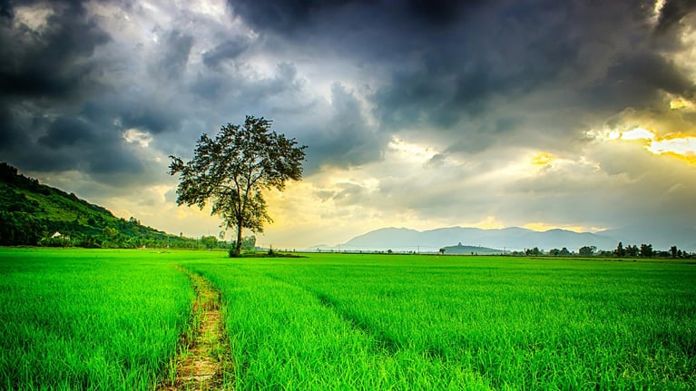 clouds-cloudy-countryside-236047.jpg